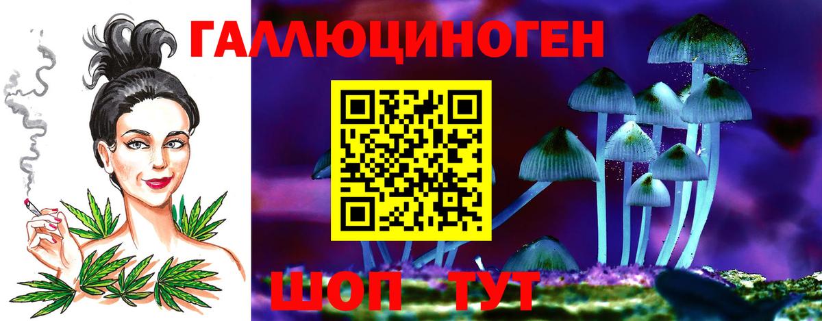 Псилоцибиновые грибы Psilocybine cubensis Лесосибирск