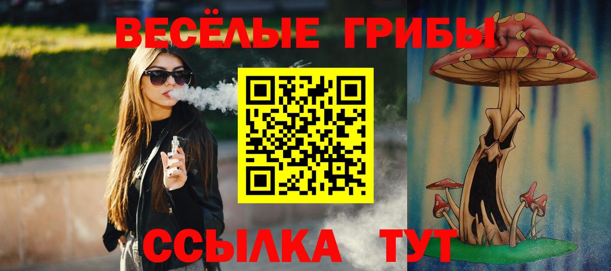наркотики  Псилоцибиновые грибы мицелий  Вход с VPN  Лесосибирск 
